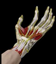 Σύνδρομο Καρπιαίου Σωλήνα